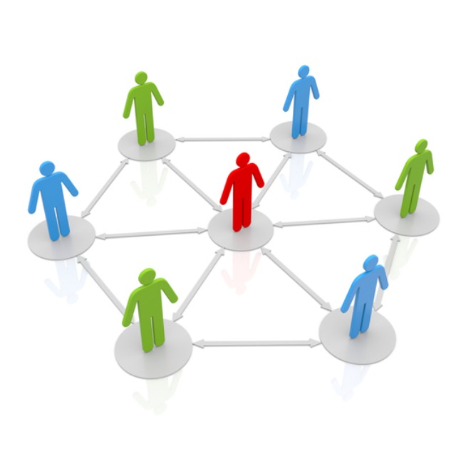 Undergraduate Programs of International Social Studies