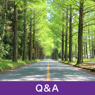 Q&A