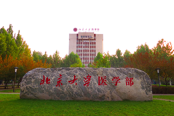 北京大学医学部オープンキャンパスツアー報告