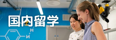 国内留学