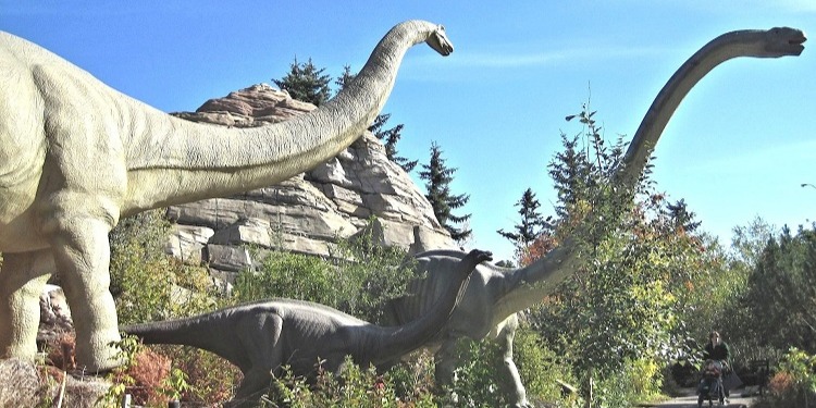 学生社会人シニア大人むけ短期長期語学留学 カナダ アルバータ州カルガリー 動物園 恐竜