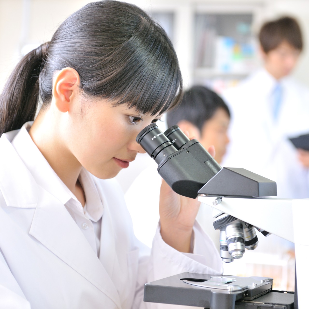 理工学部