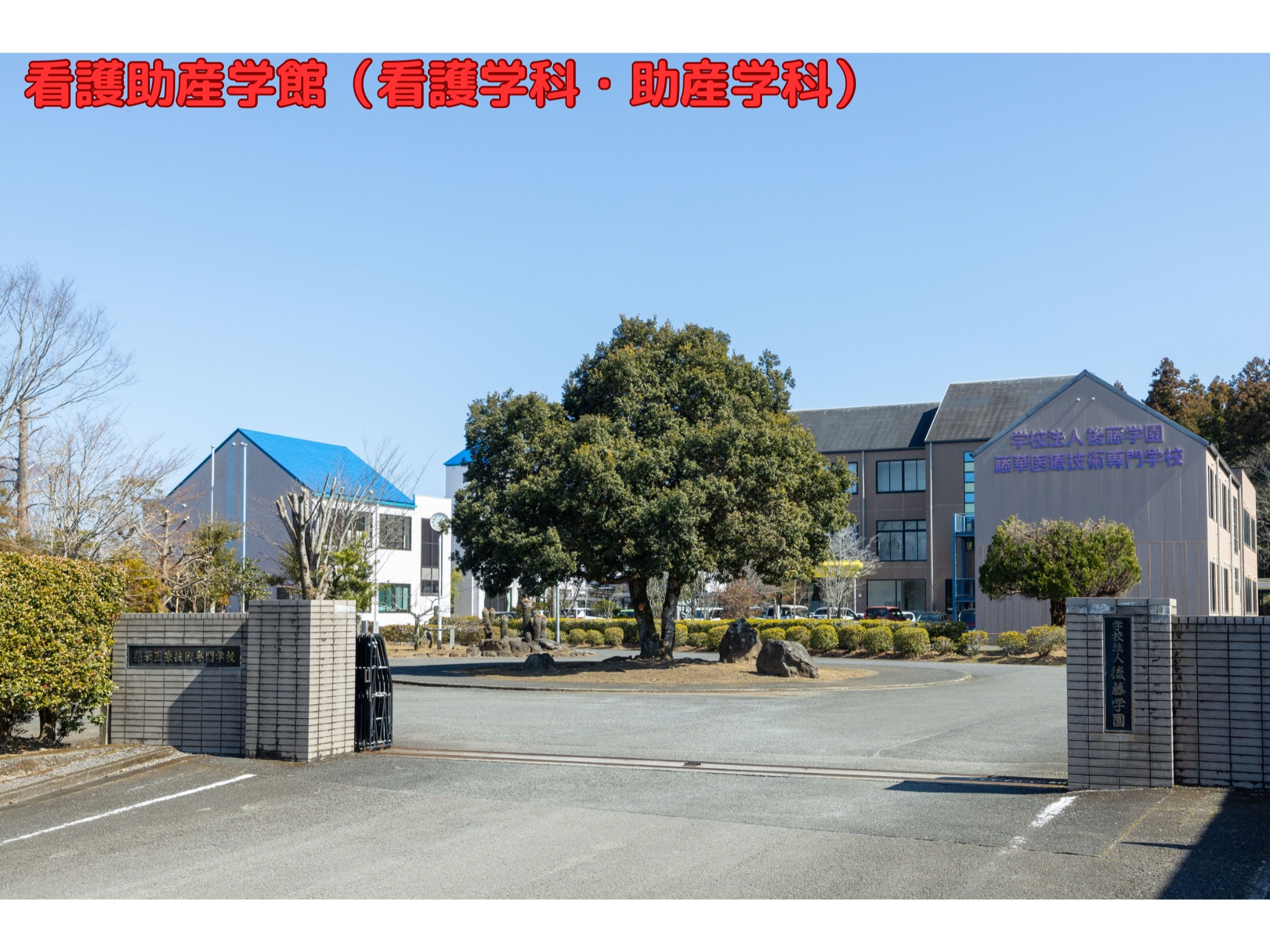 看護助産学館