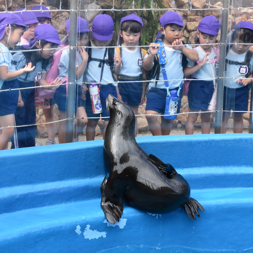 うみたまご遠足