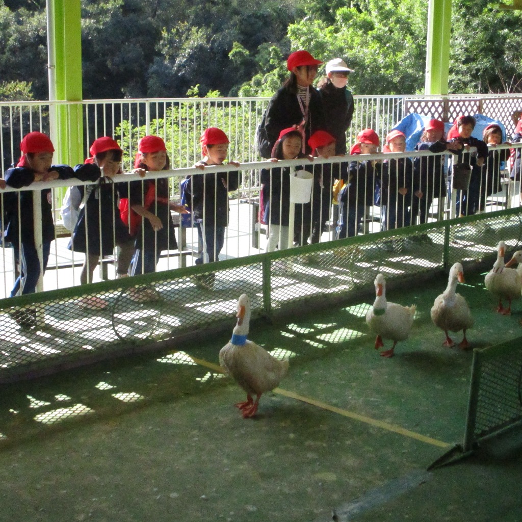 別府ラクテンチ遠足