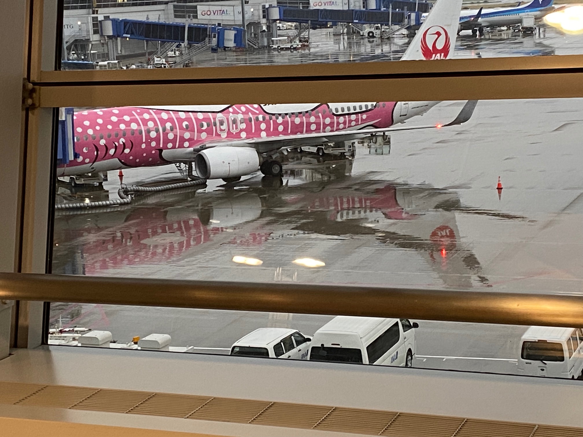 最終便に間に合えば・・・(修1) 校長ブログ 学校法人桜丘学園[愛知県豊橋市中高一貫校]