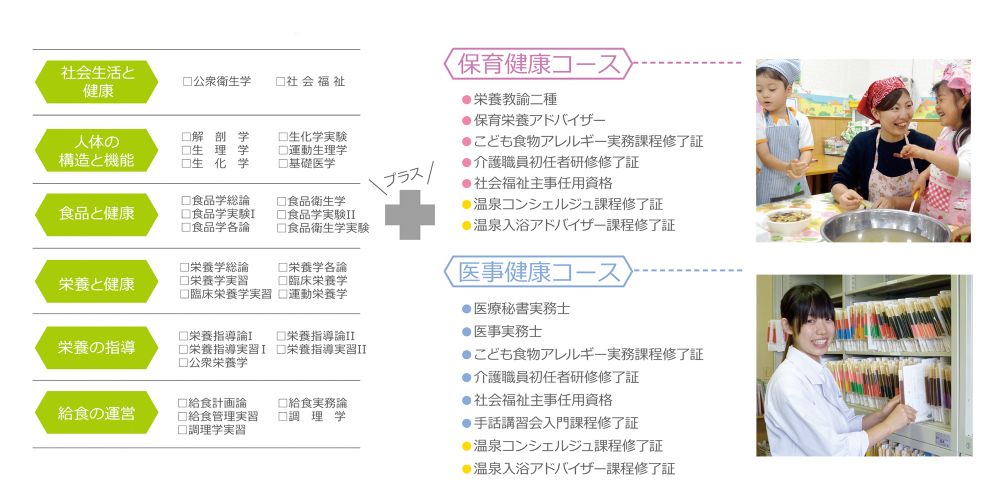 サンプル画像