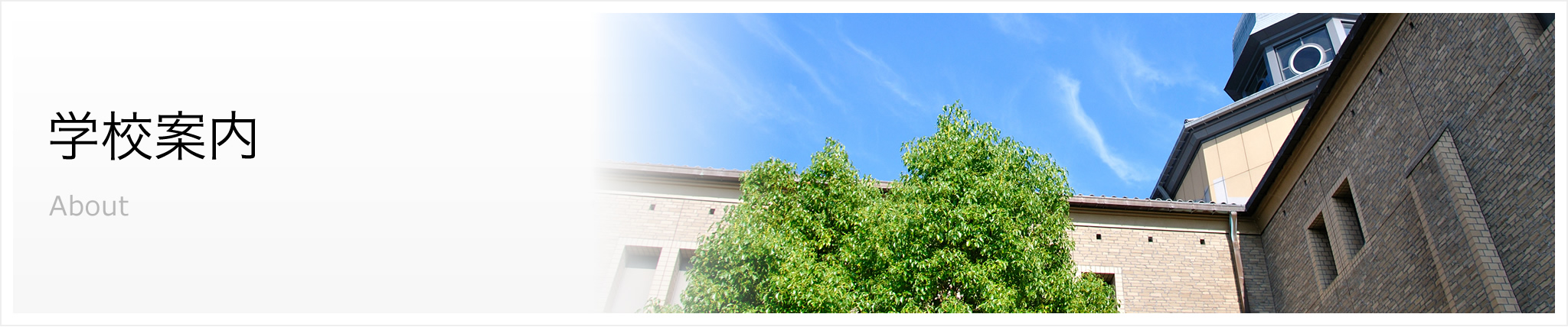 学校案内