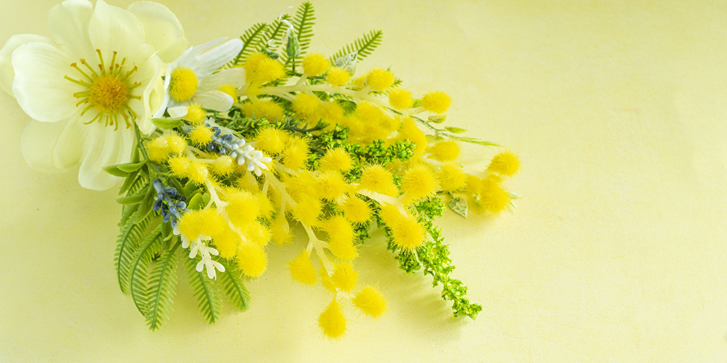 SBI大学院大学で輝く女性たちのリアルストーリー