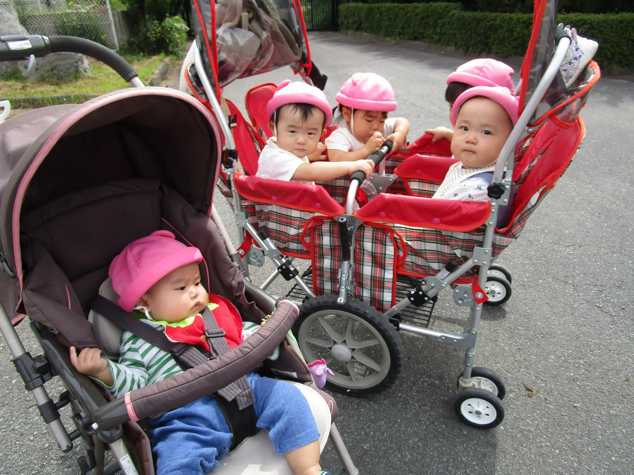 カートでお散歩する子ども達