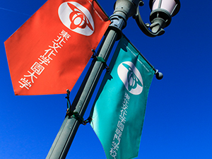 これまでの歩み(沿革)