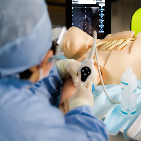 ナースプラクティショナー(N.P.)とは