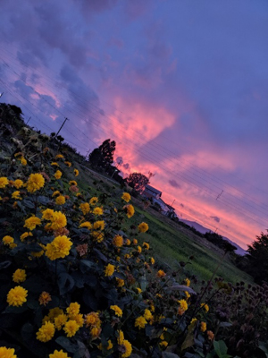 「自分のベスポジで撮った私だけの夕焼け」