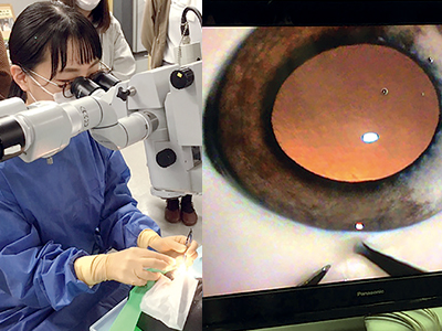 生活の中の視覚