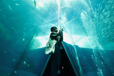 「ちょいと1枚失礼」