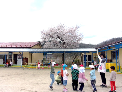 桜が満開になりました