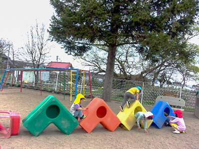 桜が満開になりました