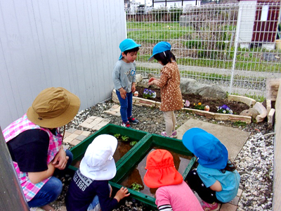 桜が満開になりました