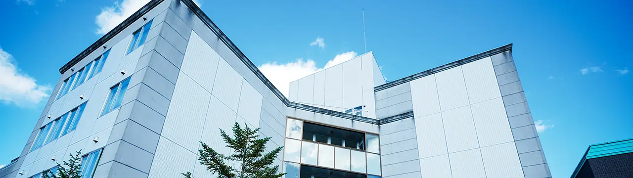 大学概要