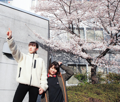 インテリア科 始動!2019