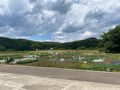 茂庭の農園の写真