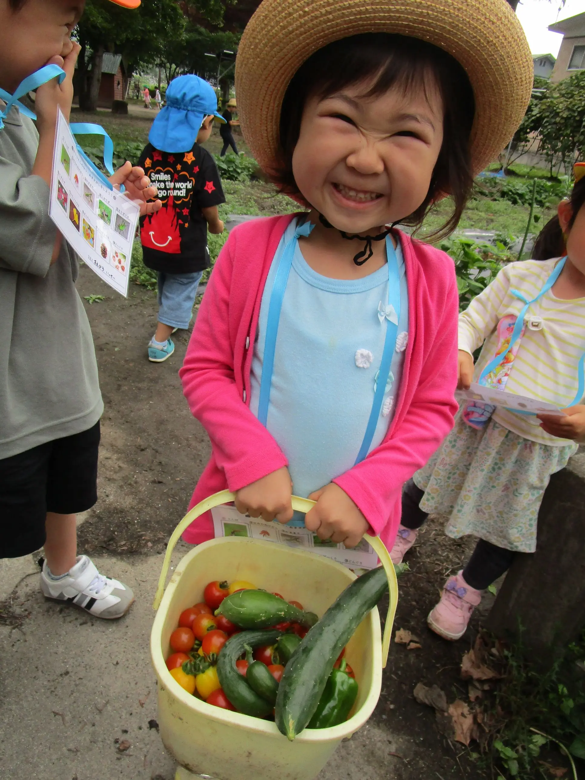 トマト収穫