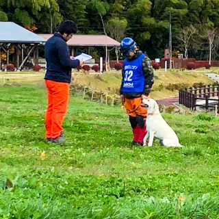 Working Dog’s サークル