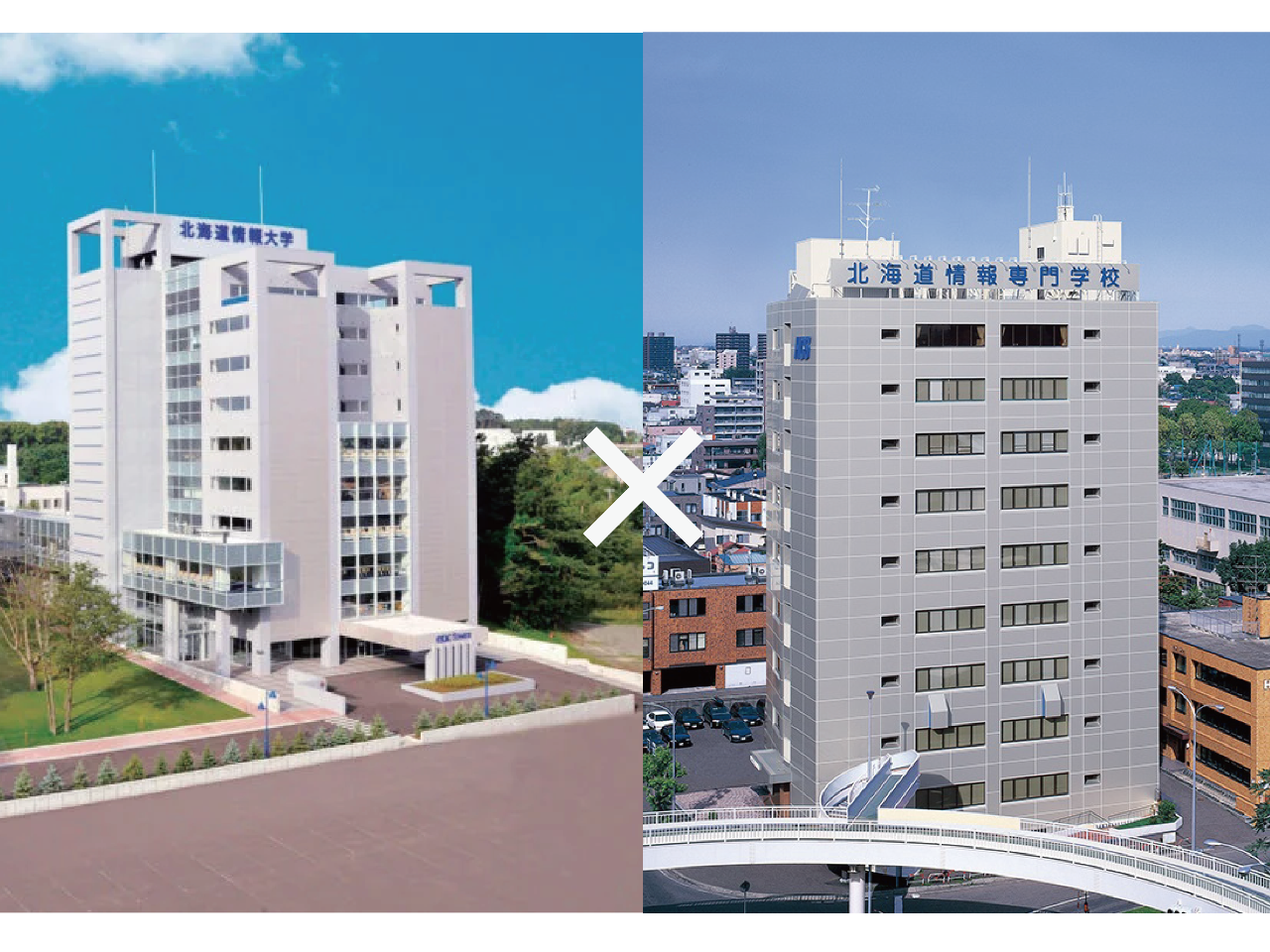 サンプル画像