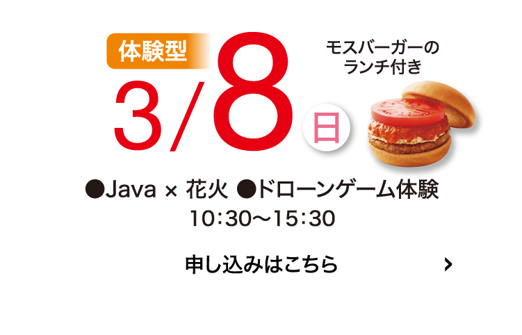 体験型3/8(日)申込はこちら