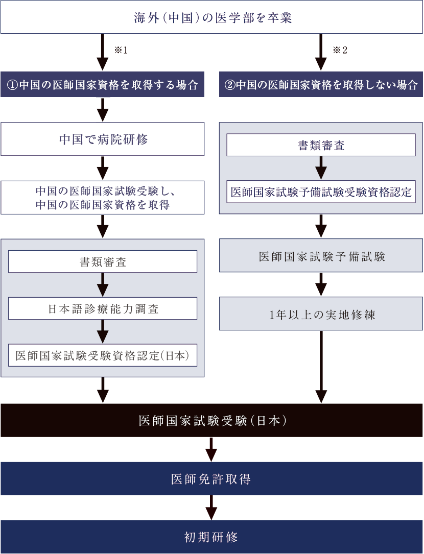 日本の医師免許取得までのプロセス