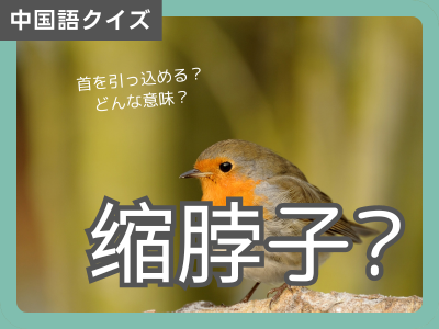 中国語学習
