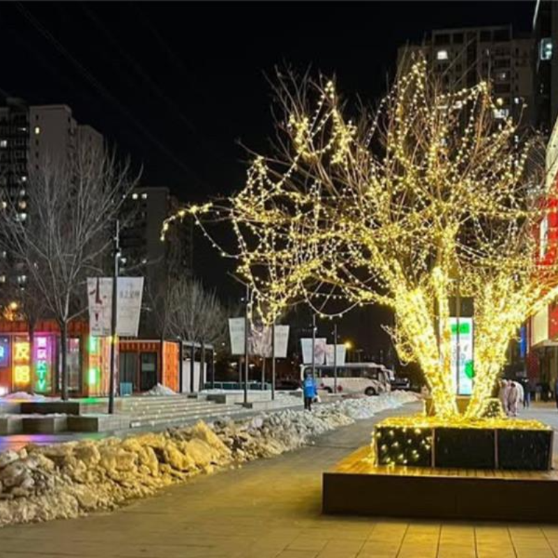 中国をもっと深堀り！