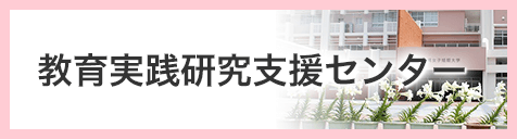教育実践教育支援センター