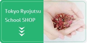 Tokyo Ryojutsu School Shop