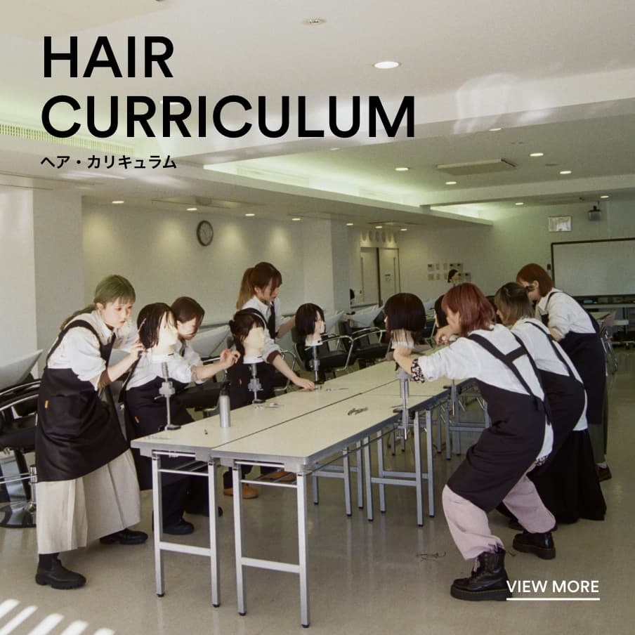 HAIR CURRICULUM