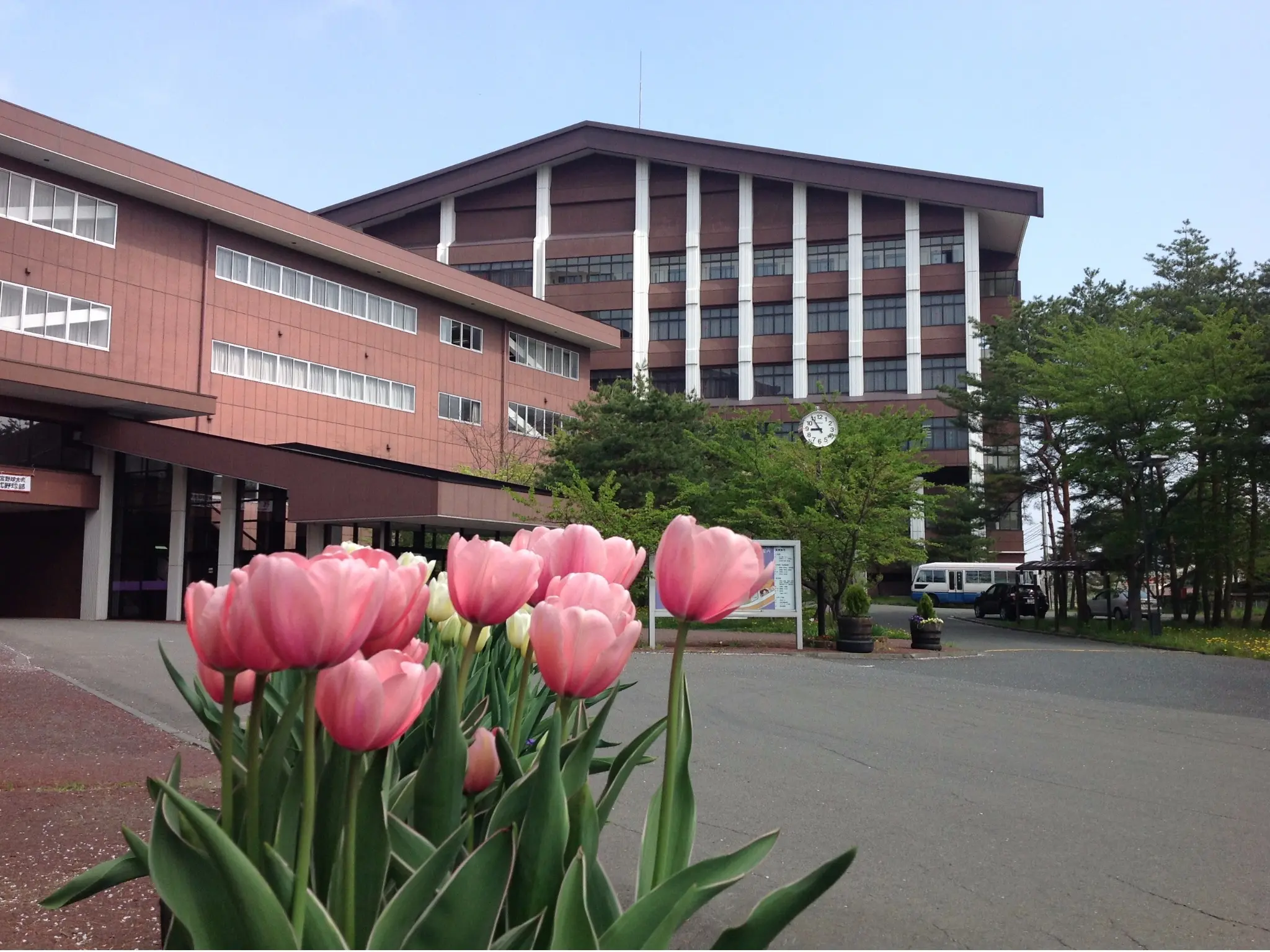 図書館