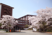 サンプル画像