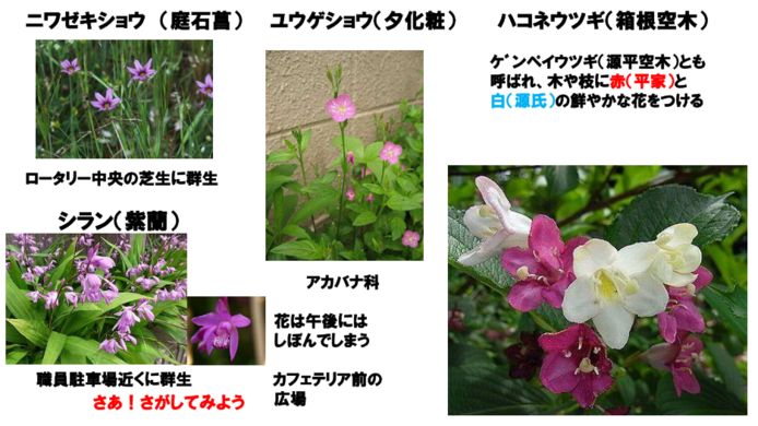ファーム通信