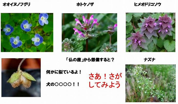 ファーム通信