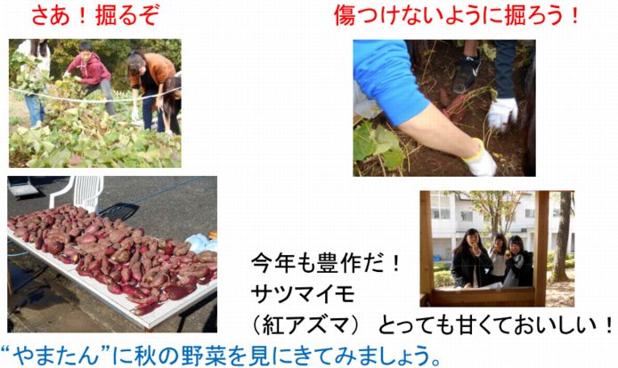 ファーム通信
