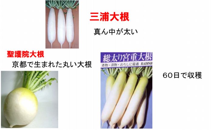 ファーム通信