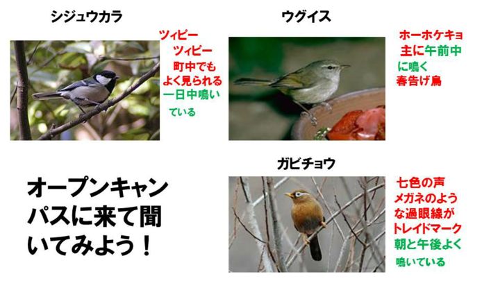ファーム通信