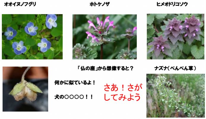 ファーム通信
