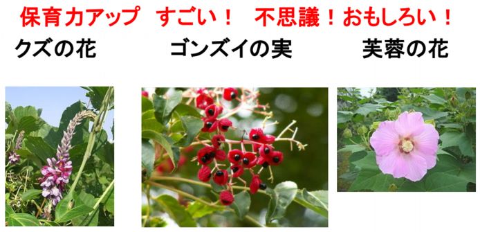 ファーム通信