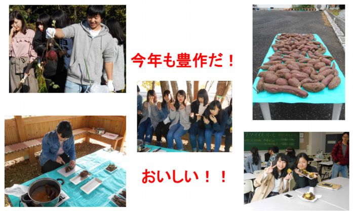 ファーム通信