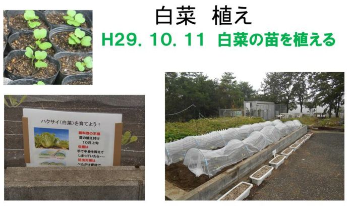 ファーム通信