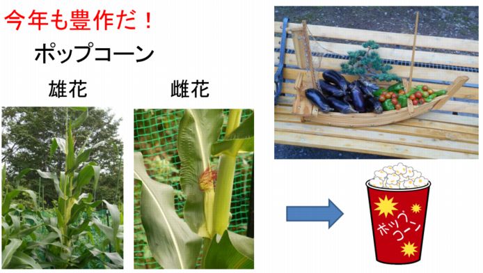ファーム通信