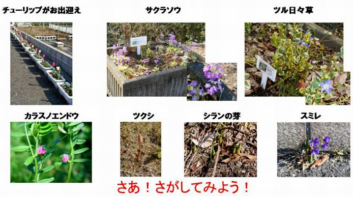 ファーム通信