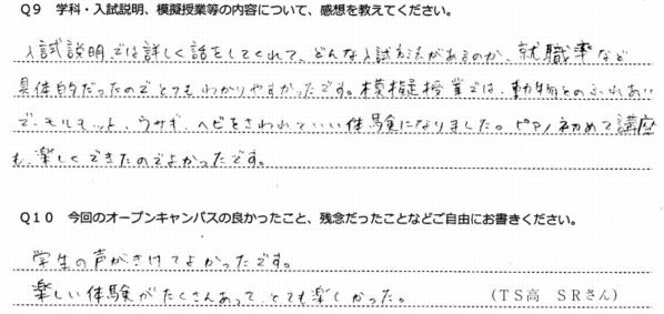 アンケート