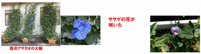 ファーム通信